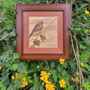 marquetry orange finch
